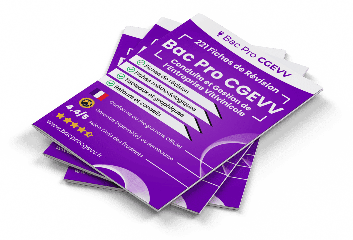 221 Fiches de Révision pour le Bac Pro CGEVV
